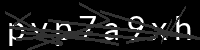 PHP Captcha for Piwigo