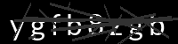 PHP Captcha for Piwigo