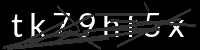 PHP Captcha for Piwigo