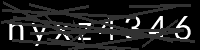 PHP Captcha for Piwigo
