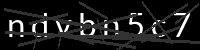 PHP Captcha for Piwigo