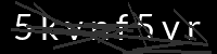 PHP Captcha for Piwigo