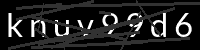 PHP Captcha for Piwigo