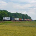 386 031-9