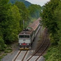 754 081-8