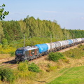 111Ed-103ziolkofot